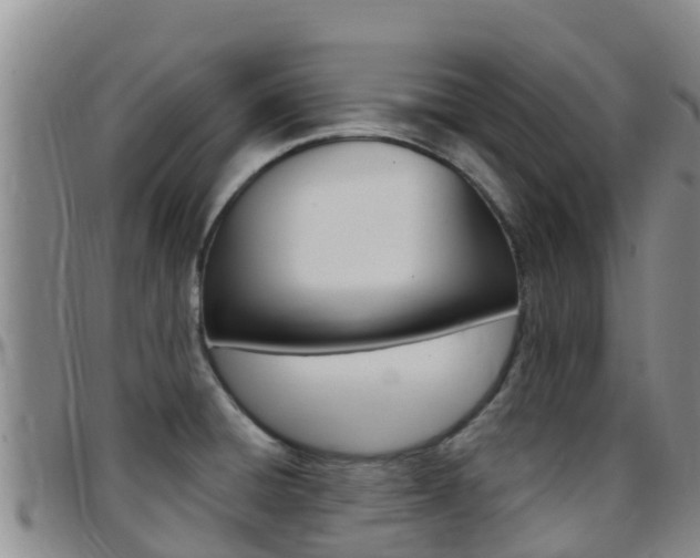 X0000097891428200803140955