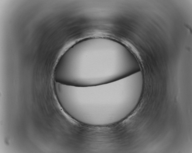 X0000097891429200803140955