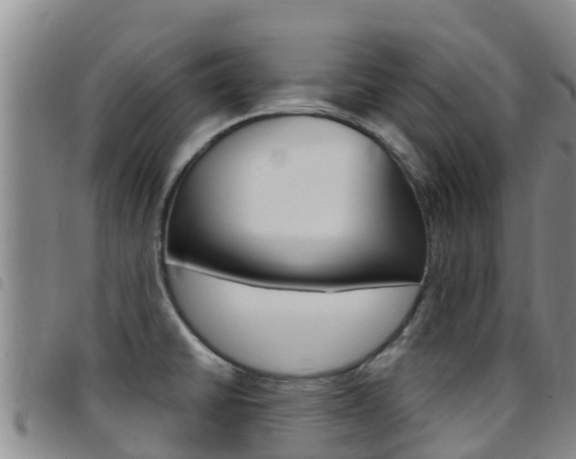 X0000097891430200803140955