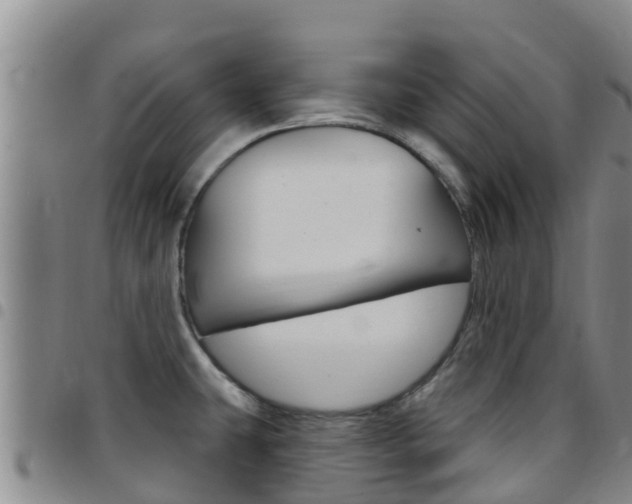 X0000097891431200803140955