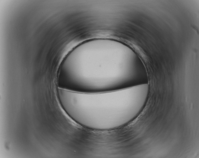 X0000097891432200803140955