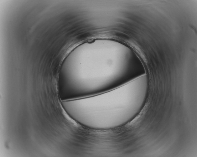 X0000097891433200803140955