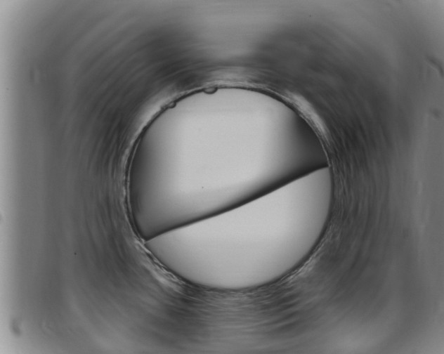 X0000097891435200803140955