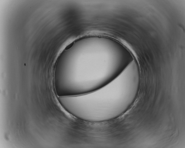 X0000097891437200803140955