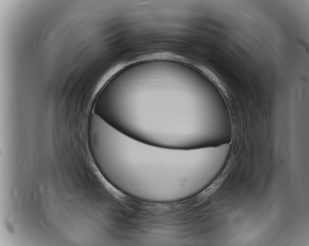 X0000097891438200803140955