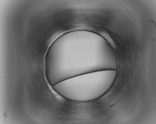 X0000097891439200803140955