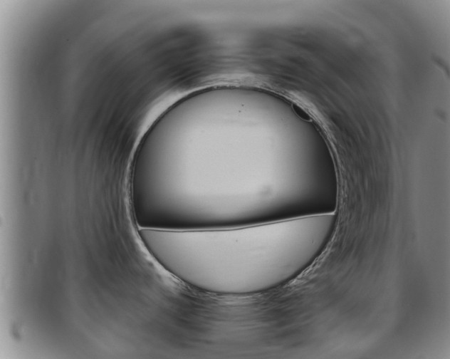 X0000097891440200803140955