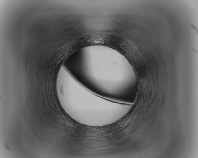 X0000097891442200803140954
