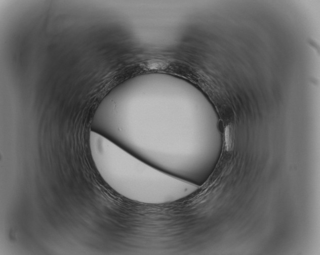 X0000097891443200803140954