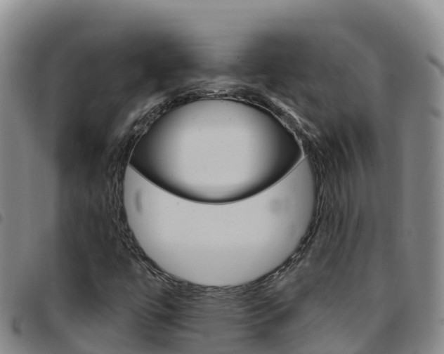 X0000097891447200803140954