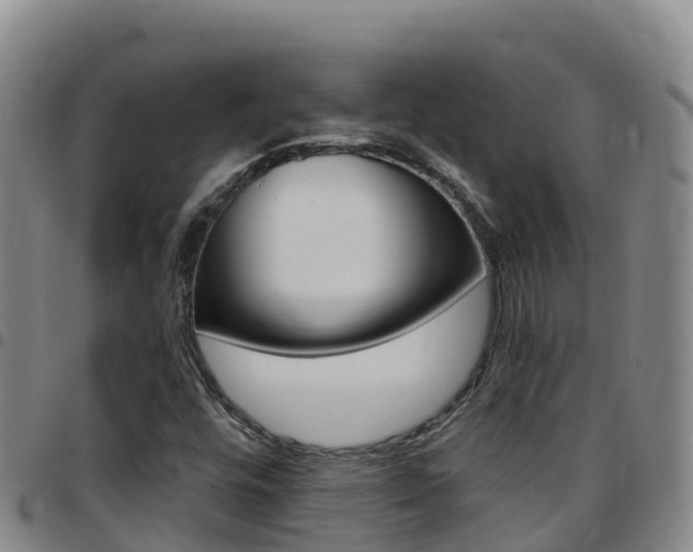 X0000097891448200803140954