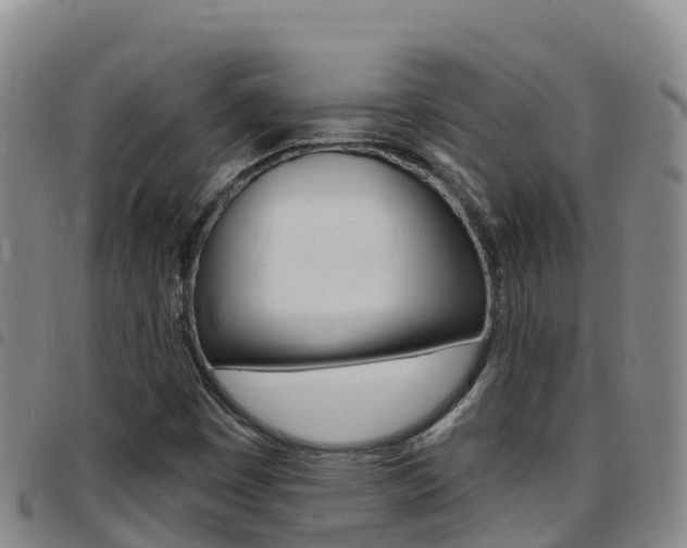 X0000097891449200803140954