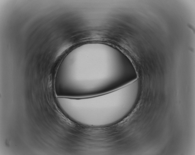 X0000097891450200803140954