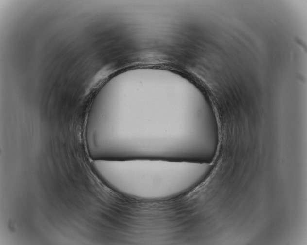 X0000097891451200803140954