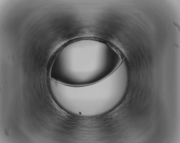 X0000097891452200803140954