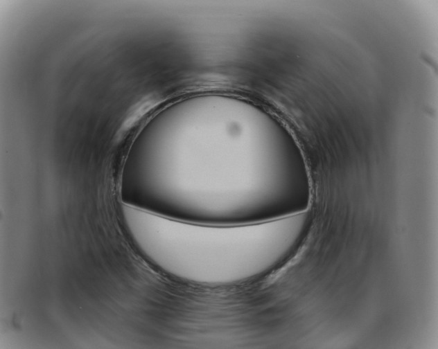 X0000097891453200803140954