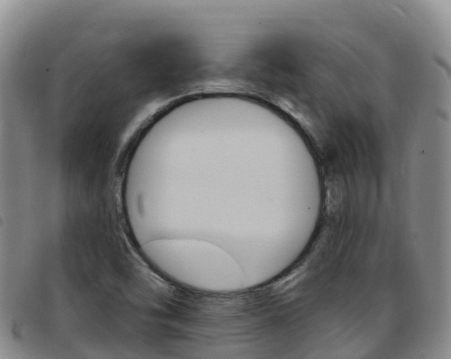 X0000097891454200803140954