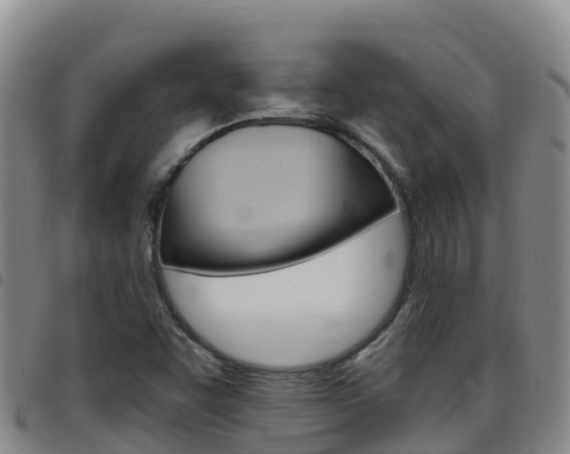 X0000097891455200803140954