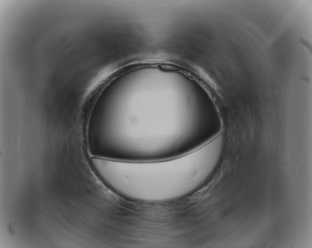 X0000097891456200803140954