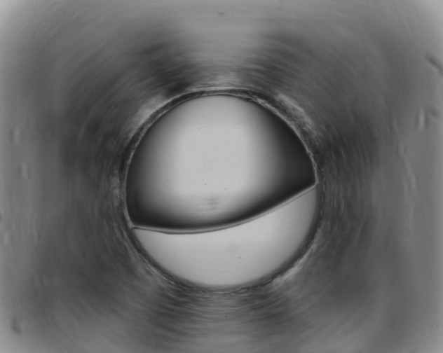 X0000097891457200803140954