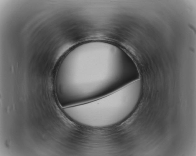 X0000097891458200803140954