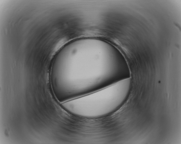 X0000097891459200803140954
