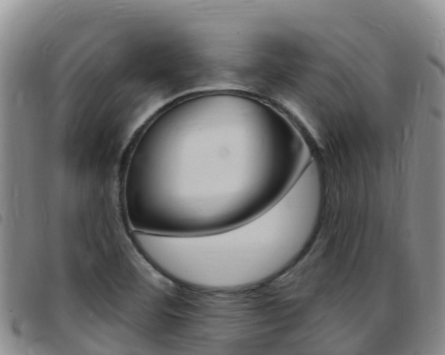 X0000097891460200803140954