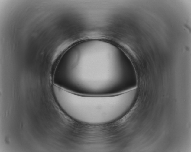 X0000097891461200803140954