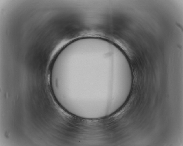 X0000097891462200803140954