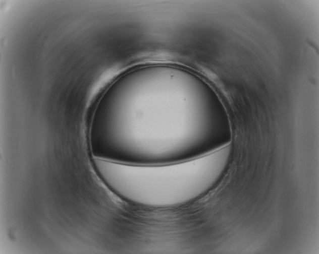 X0000097891464200803140954
