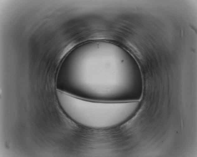 X0000097891465200803140954
