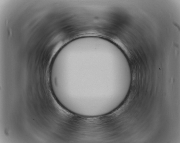 X0000097891466200803140954
