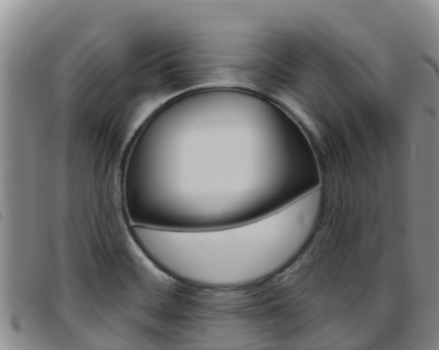 X0000097891468200803140954