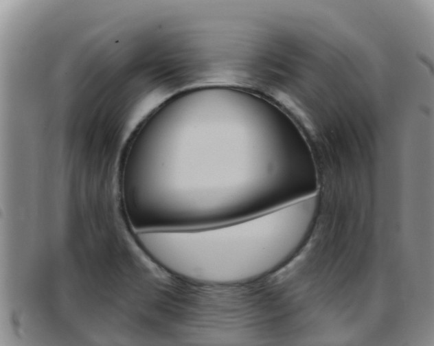 X0000097891469200803140954
