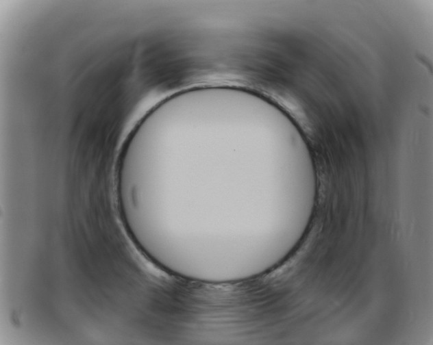 X0000097891470200803140954