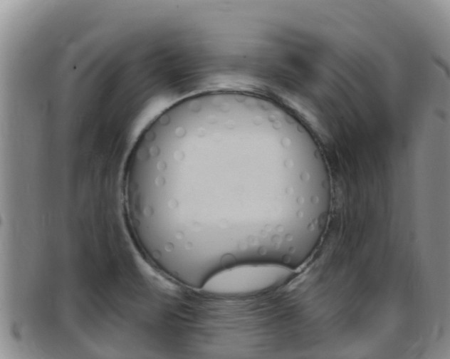 X0000097891471200803140954