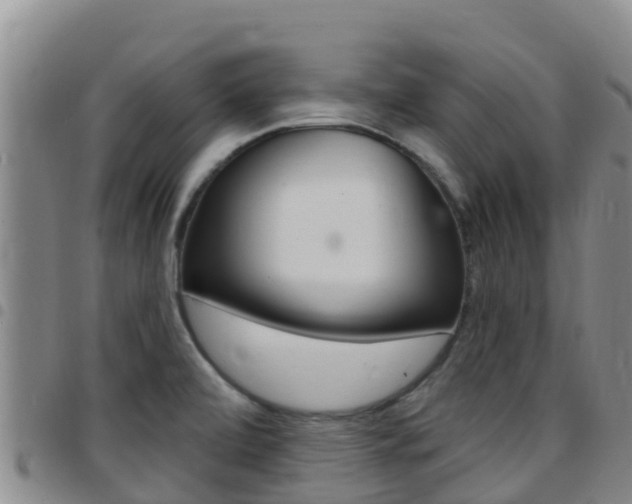 X0000097891472200803140954