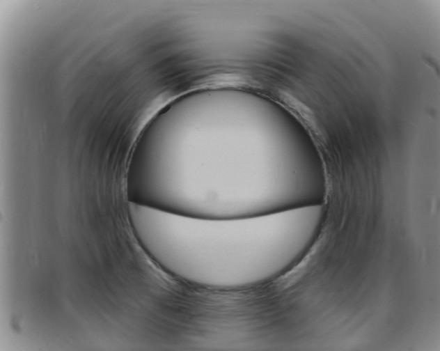 X0000097891473200803140954