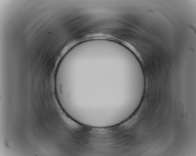 X0000097891474200803140954