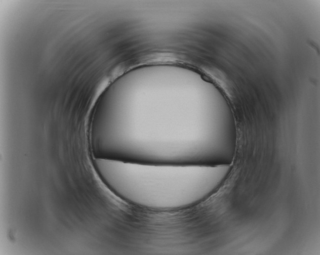 X0000097891475200803140954