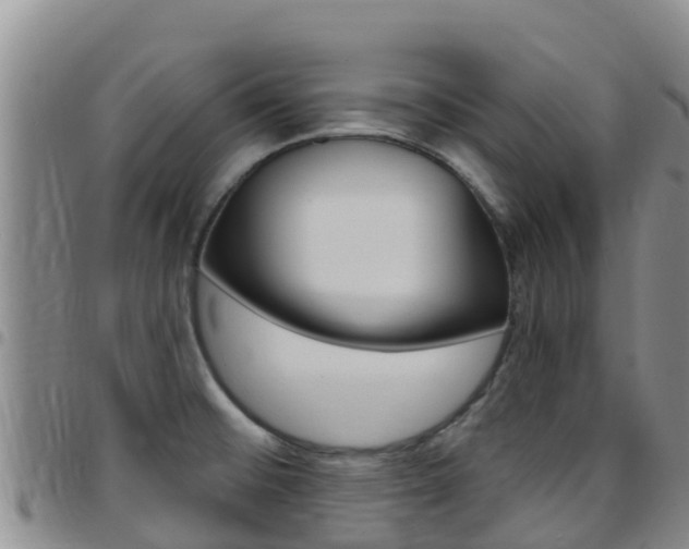X0000097891476200803140954