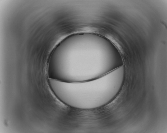X0000097891477200803140954
