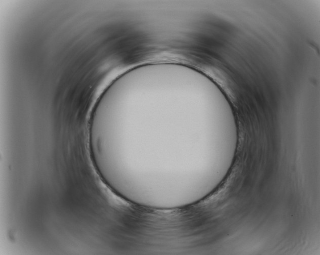 X0000097891478200803140954