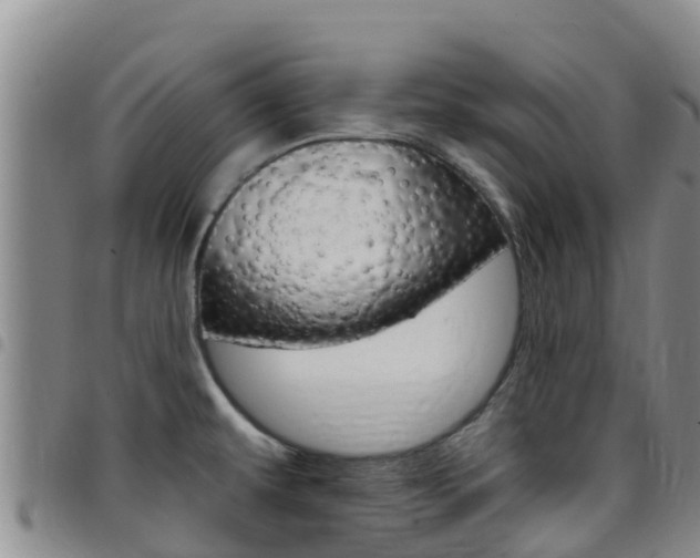 X0000097891479200803140954