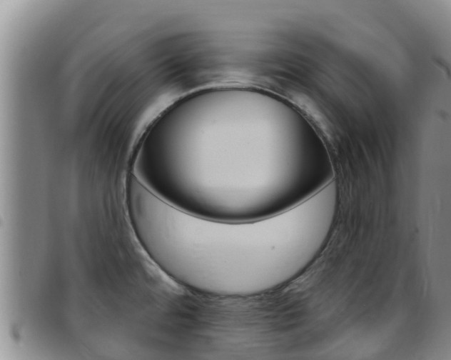X0000097891480200803140954