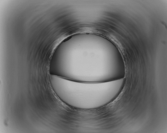 X0000097891481200803140954
