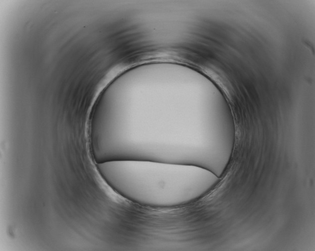 X0000097891482200803140954
