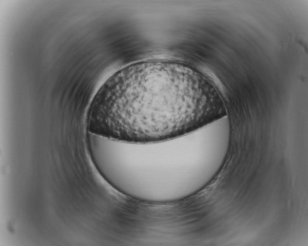 X0000097891483200803140954
