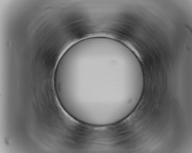X0000097891484200803140954