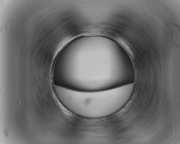 X0000097891485200803140953